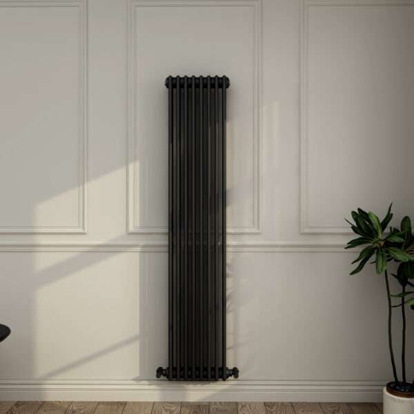 A tall, slim black radiator is mounted on a light-coloured wall with panel detailing. A green potted plant stands on the right, and sunlight casts shadows across the room.
